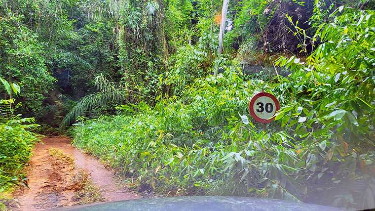 Zo’n bord met snelheidsbeperking is wat overbodig, want je rijdt veel langzamer naar de top van de Brownsberg.