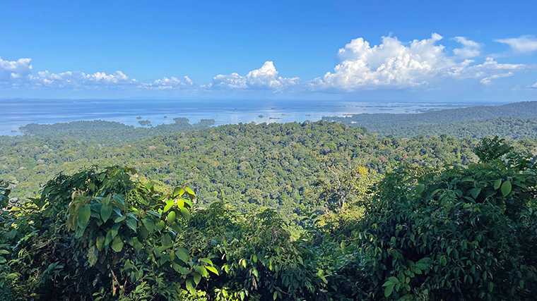 Het dichte oerwoud van Brownsberg Natuurpark met op de achtergrond het stuwmeer Brokopondo.