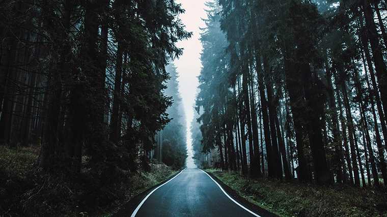 De weg tussen Mariánské Lázně en Karlovy Vary in Tsjechië.