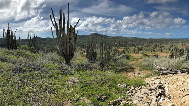 Slagbaai Nationaal Park, Bonaire.