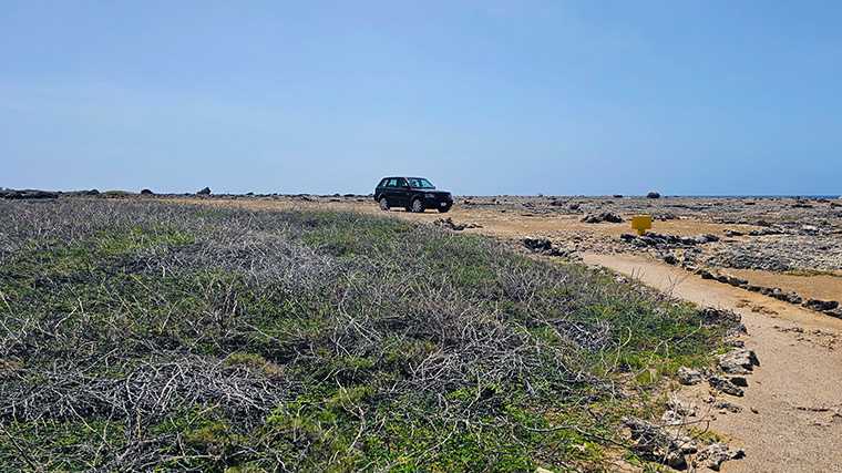 De wegen langs de oostkust van Bonaire zijn vaak onverhard.