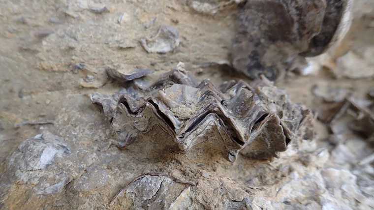 De fossiele duinen bij Imi Ouaddar.