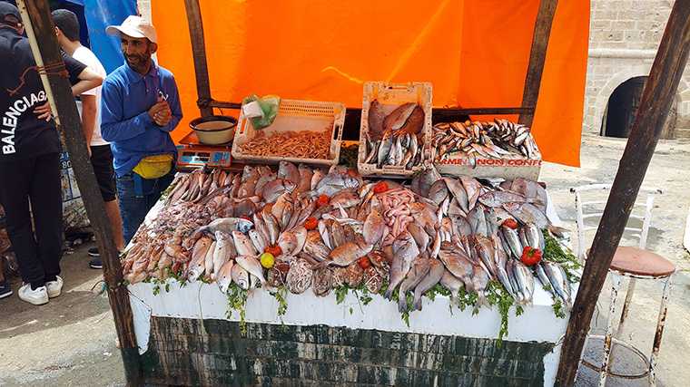 Volop keuze uit vers gevangen vis in de haven van Essaouira.