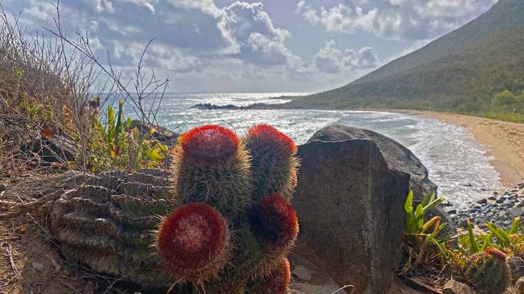 Natuurreservaat Sint-Maarten.