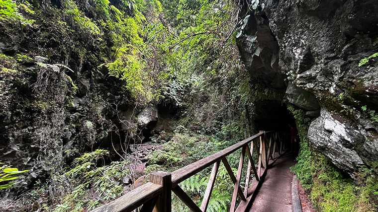Je loopt door dicht bos naar watervallen.