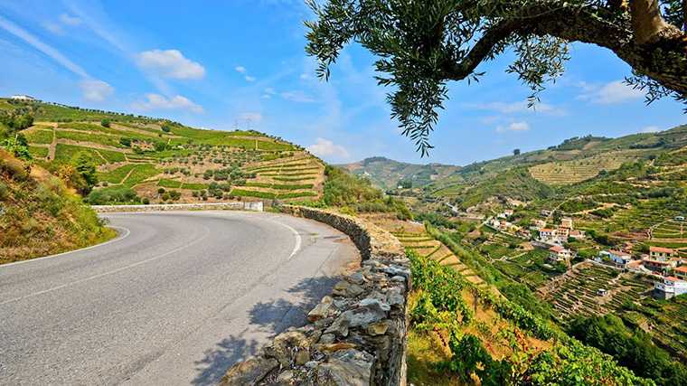 Volg met een huurauto de prachtige route door de Douro-vallei bij Porto.