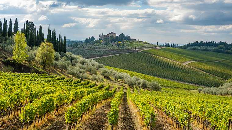 Het landschap bij Radda in Chianti, Toscane.