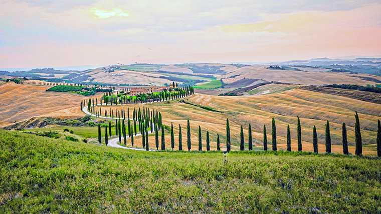 De wereldberoemde kronkelweggetjes omzoomd door cipressen in Val d’Orcia, Italië.