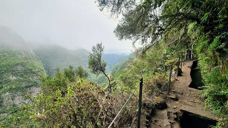 Op Madeira kun je prachtige wandelingen maken door dicht regenwoud.