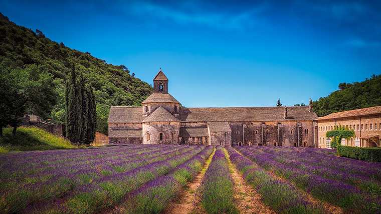 Een van de meest gefotografeerde lavendelvelden in de Franse Provence, bij de abdij van Sénanque.