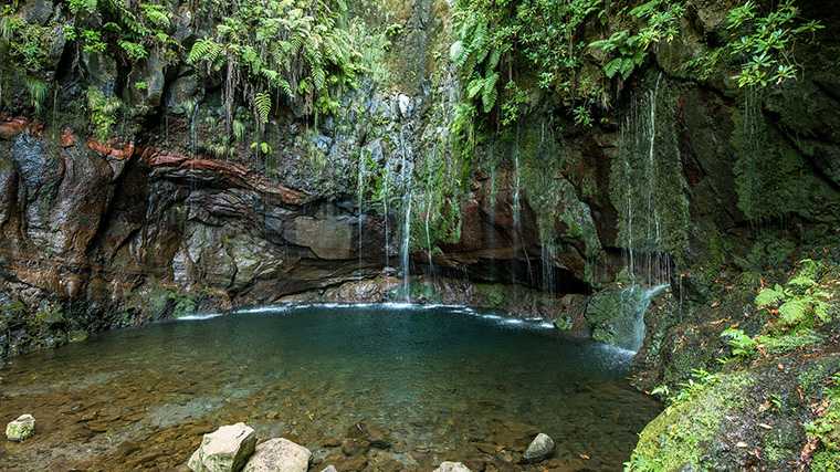 Levada das 25 Fontes, Madeira
