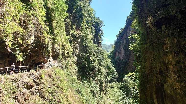 Vereda da Ribeira da Janela, Madeira.