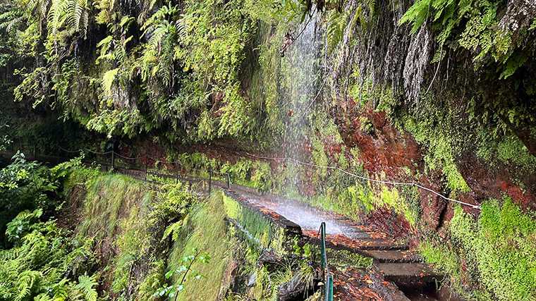 Levada do Rei, Madeira.