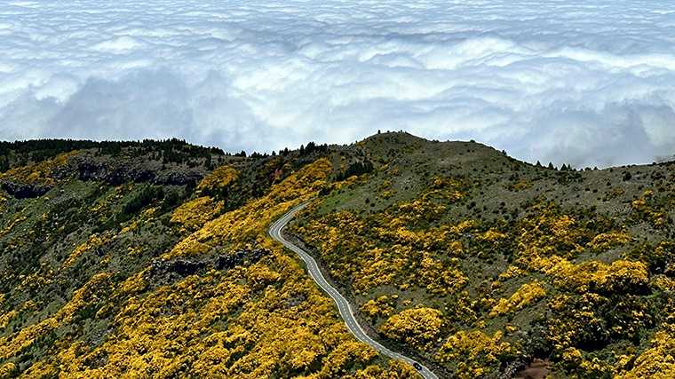 Op Madeira rijd je met de huurauto soms boven de wolken.