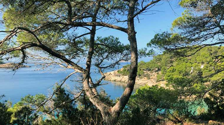 De beschutte ligging van Cala Saladeta op Ibiza.