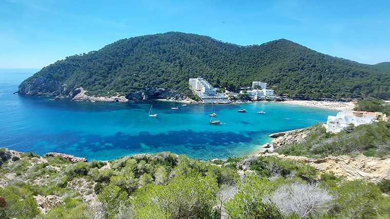 Het beschutte strand van Cala Llonga is met een huurauto gemakkelijk bereikbaar vanuit Ibiza-stad.