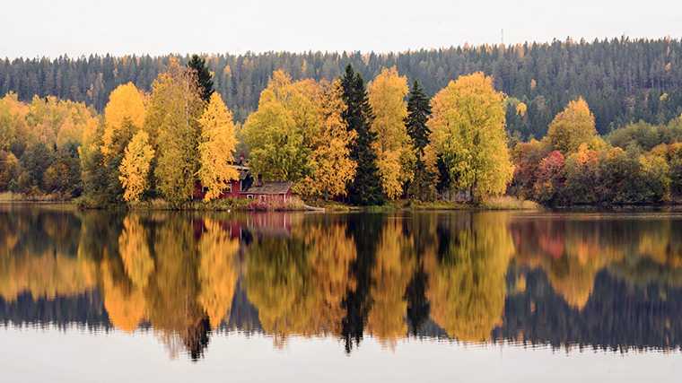 Disfruta doblemente del reflejo de los colores del otoño en el agua.