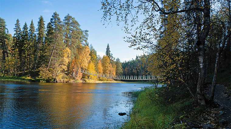 Uno de los puentes colgantes del Parque Nacional de Oulanka, en Finlandia.