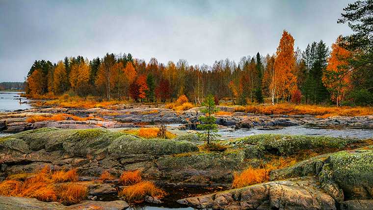 Los rápidos de Koitelinkoski, cerca de Oulu, en Finlandia.