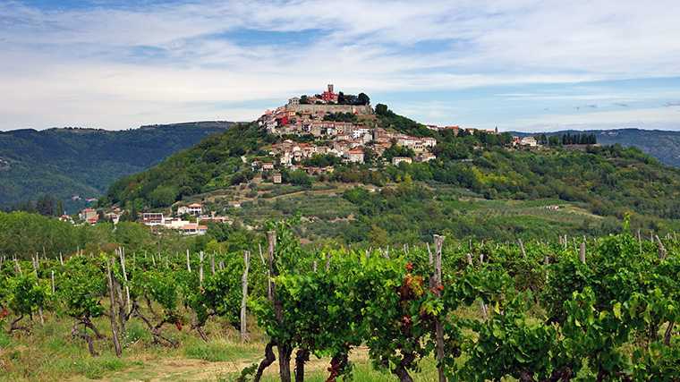 Ve en coche de alquiler a Motovun, el centro de la cultura de la trufa en la península croata de Istria.