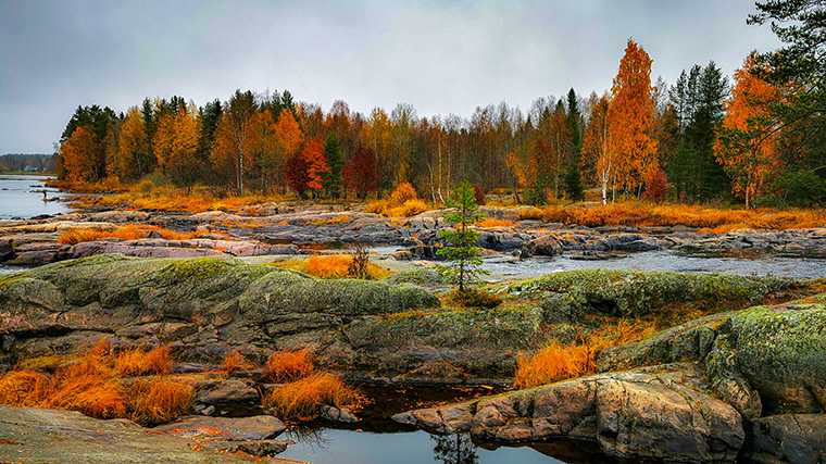 Tres cuartas partes de Finlandia están cubiertas de bosques y, en otoño, eso da lugar a un auténtico espectáculo de colores.