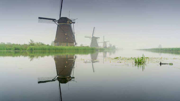 Zelfs als het een beetje mistig is, leveren de molens van Kinderdijk een mooi plaatje op