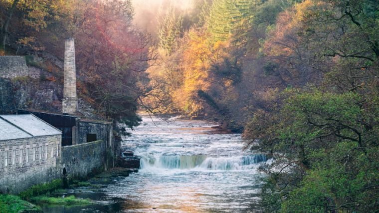 Het Falls of Clyde Wildlife Reserve