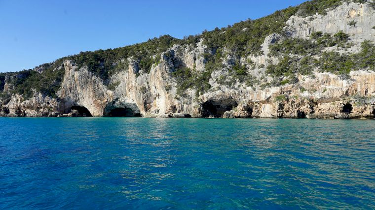 Bij Cala Gonono kun je per boot zeegrotten bezoeken, zoals de Grotta del Bue Marino