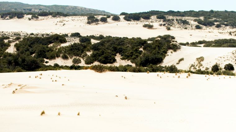 Behalve brede zandstranden vind je aan de Costa Verde op Sardinië ongerepte duinen.