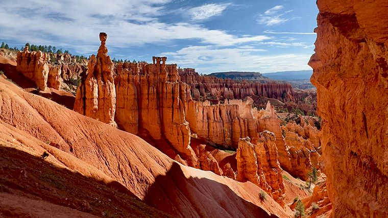 De grillige rotsformaties – hoodoos – in Bryce Canyon in Utah.