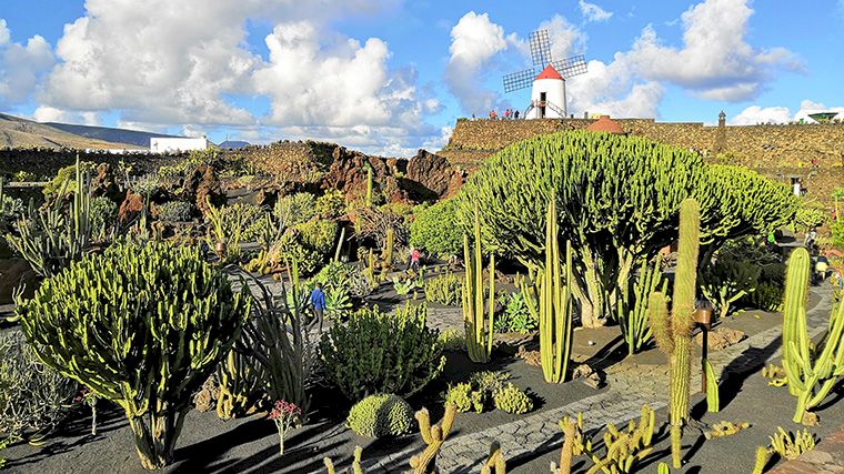 Ook de Cactustuin in Guatiza op Lanzarote is een initiatief van César Manrique.