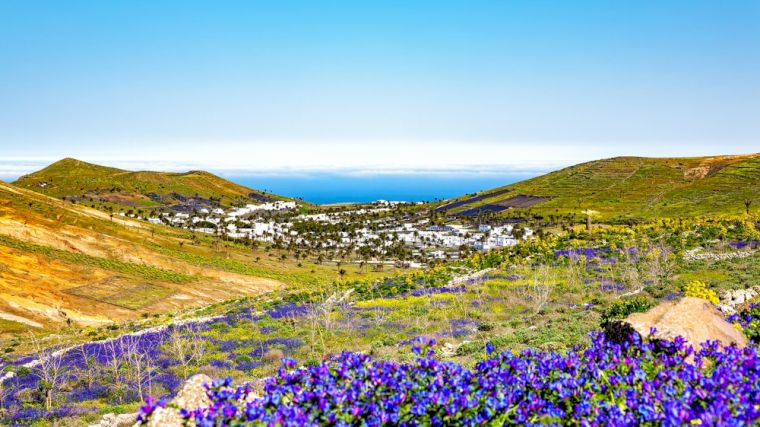 Haría is een opvallende groene oase op Lanzarote