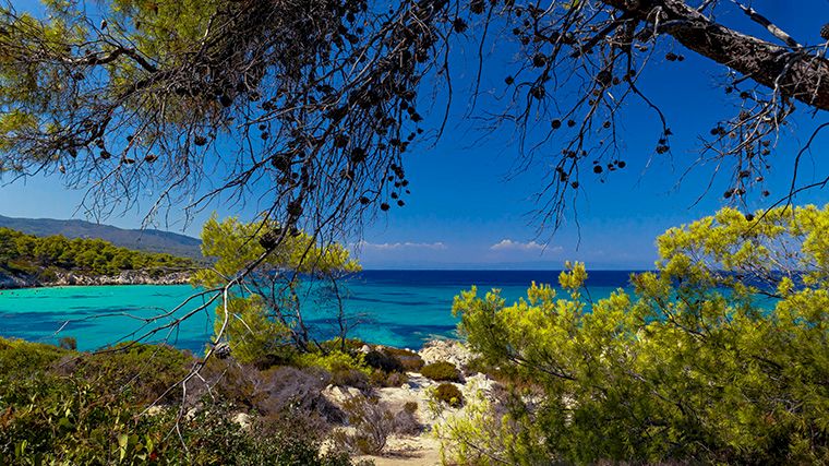 Het schiereiland Sithonia is rustiger en groener dan Kassandra.