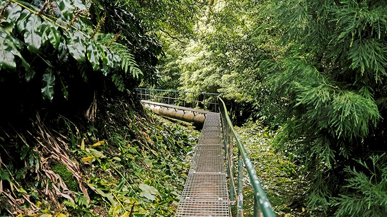 De wandeling rond de waterval voert onder meer over dit soort loopbruggen door dichte bossen.