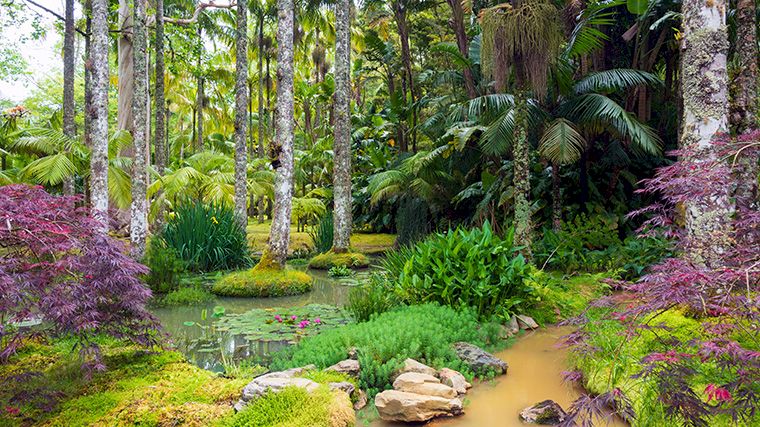De botanische tuin van Parque Terra Nostra.
