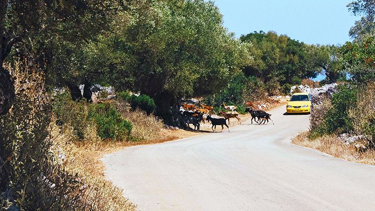 Wegen op Zakynthos.