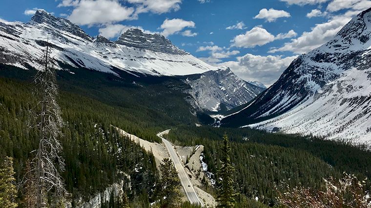 Icefields Parkway door de Canadese Rockies.