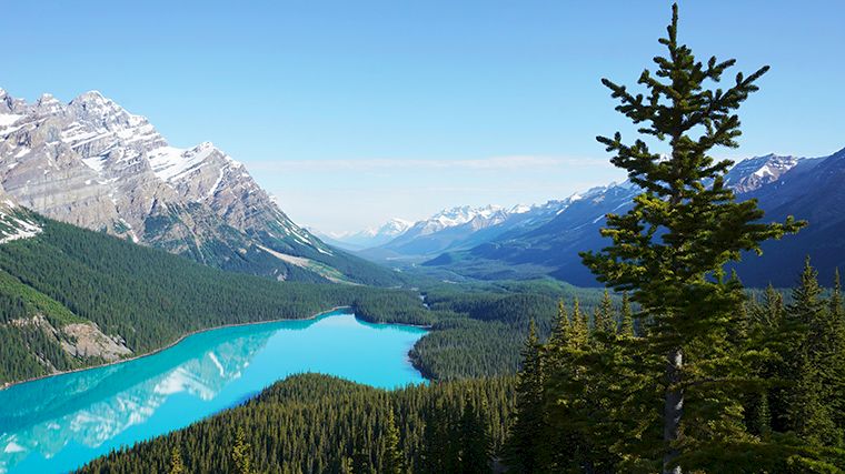 Het turquoise water van Peyto Lake langs de Icefields Parkway in het westen van Canada.