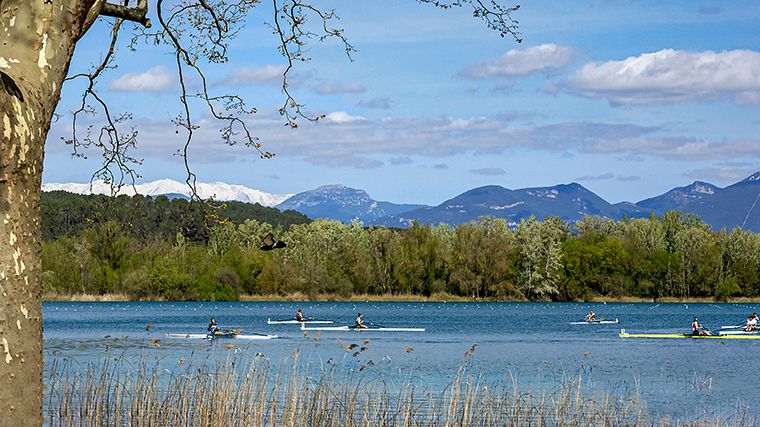 Roeiers op het meer van Banyoles.