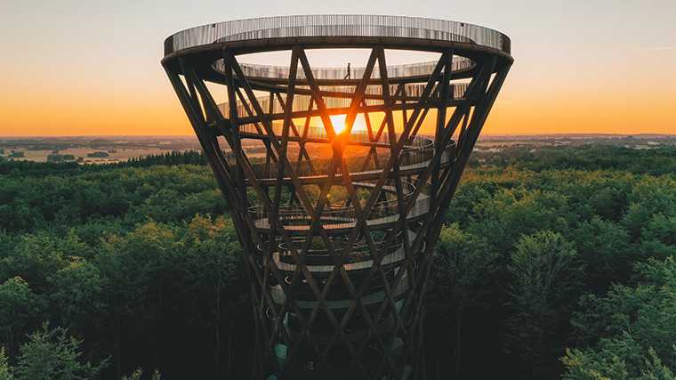 De iconische Forest Tower steekt hoog boven het bos uit.