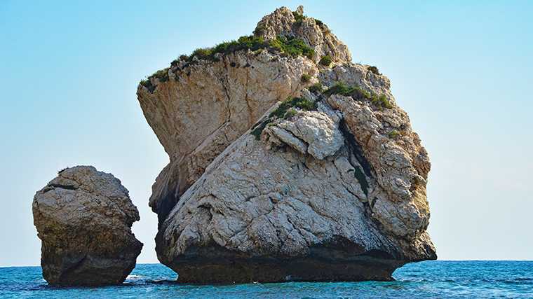 Aphrodites rots.