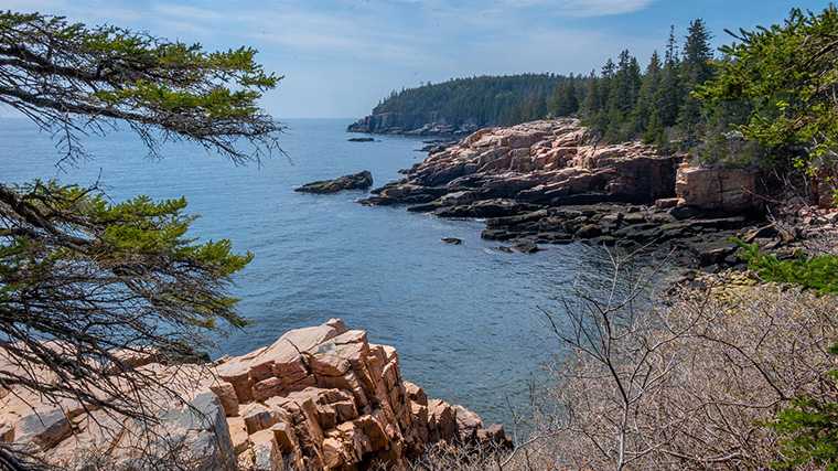 Otter Point aan de kust van Acadia National Park in Maine.