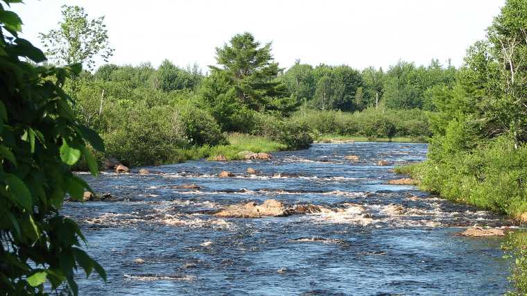 De Machias-rivier meandert door ongerept bos.