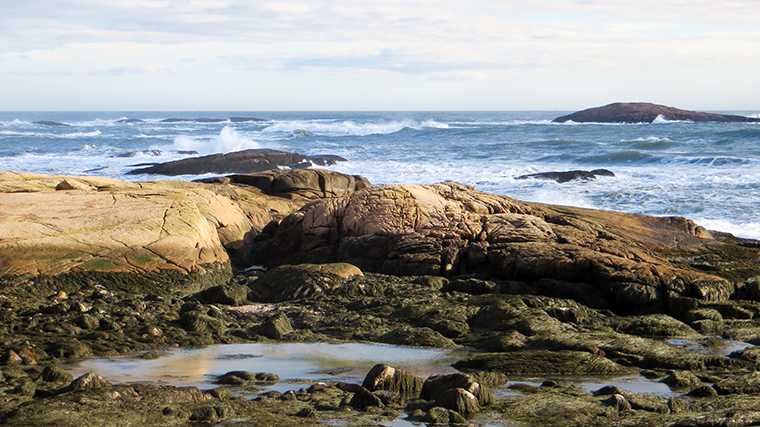 Golven beuken tegen de rotsachtige kustlijn van Great Wass Island.