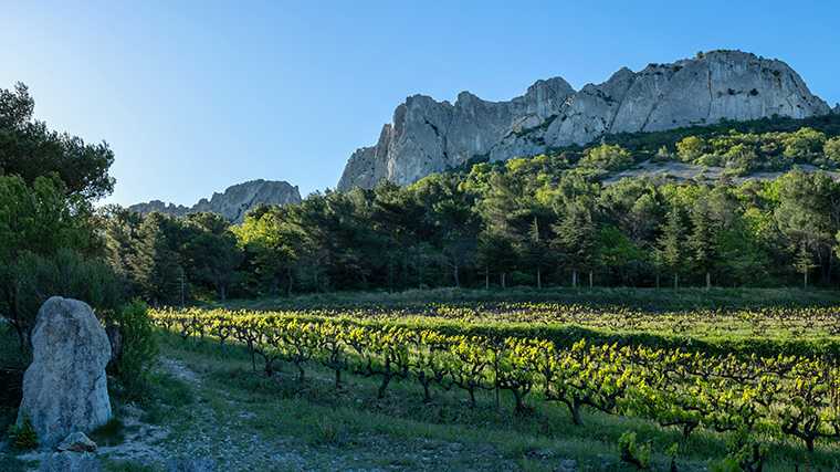 De ruige toppen van de bergen bij Gigondas in de Provence.