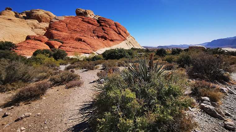 Red Rock Canyon ligt maar even buiten Las Vegas.