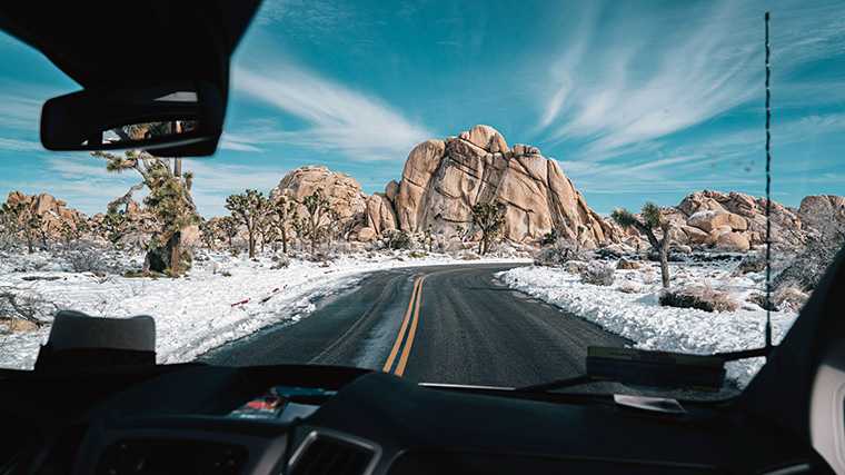 Joshua Tree National Park in de winter.