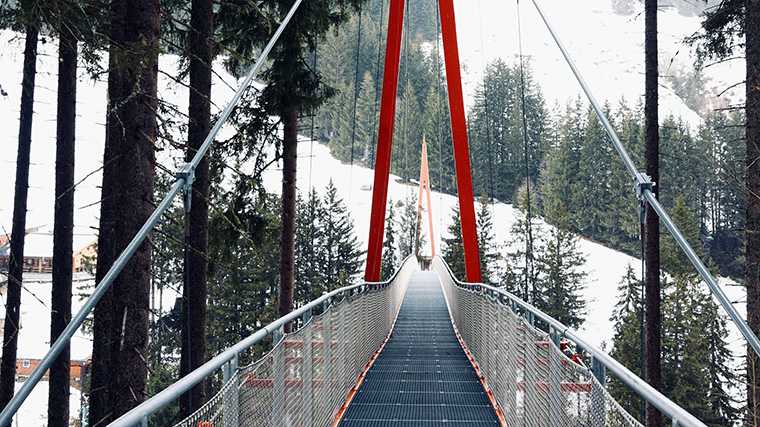 De ‘Golden Gate Bridge’ in de bossen bij Saalberg.