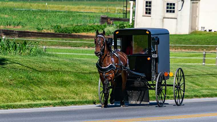 De typische paardenkoetsen van de amish zie je veel in de buurt van Lancaster, Pennsylvania. (Foto: https://unsplash.com/@cranesp)