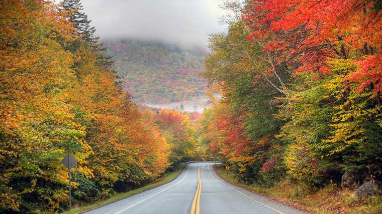 Herfstkleuren langs een weg door de Berkshires in Massachusetts.